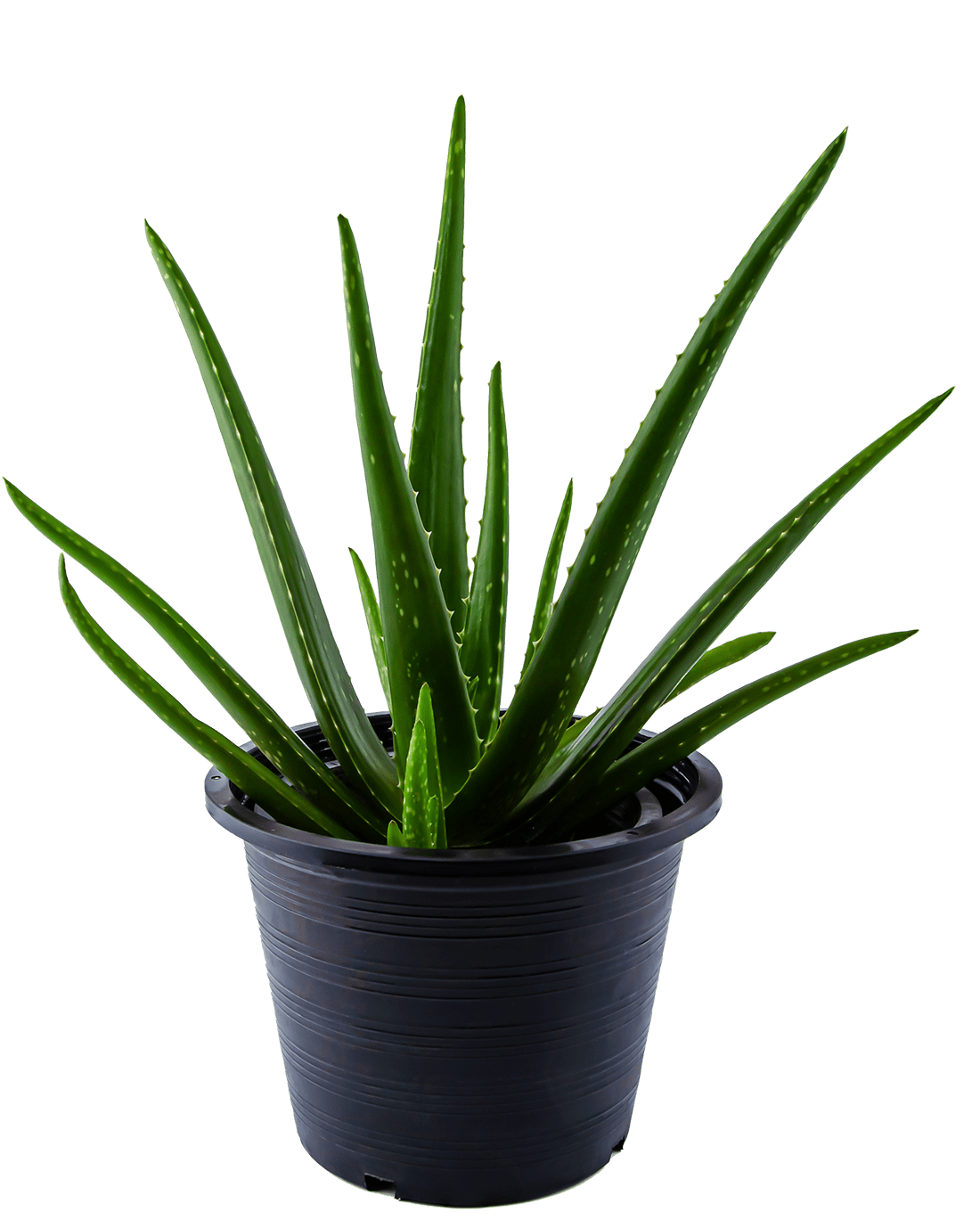 plantec